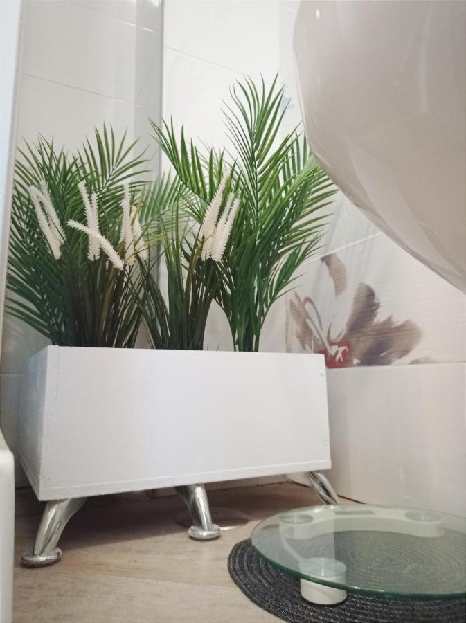 Bed and Breakfast Domus Pio XI Roma Exterior foto